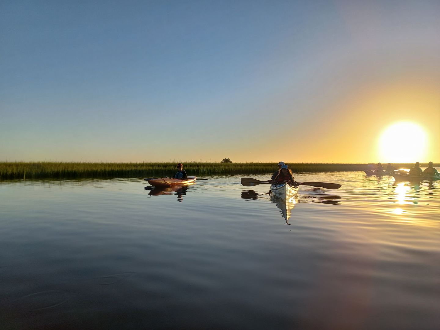 Limosa Kayak Expediciones
