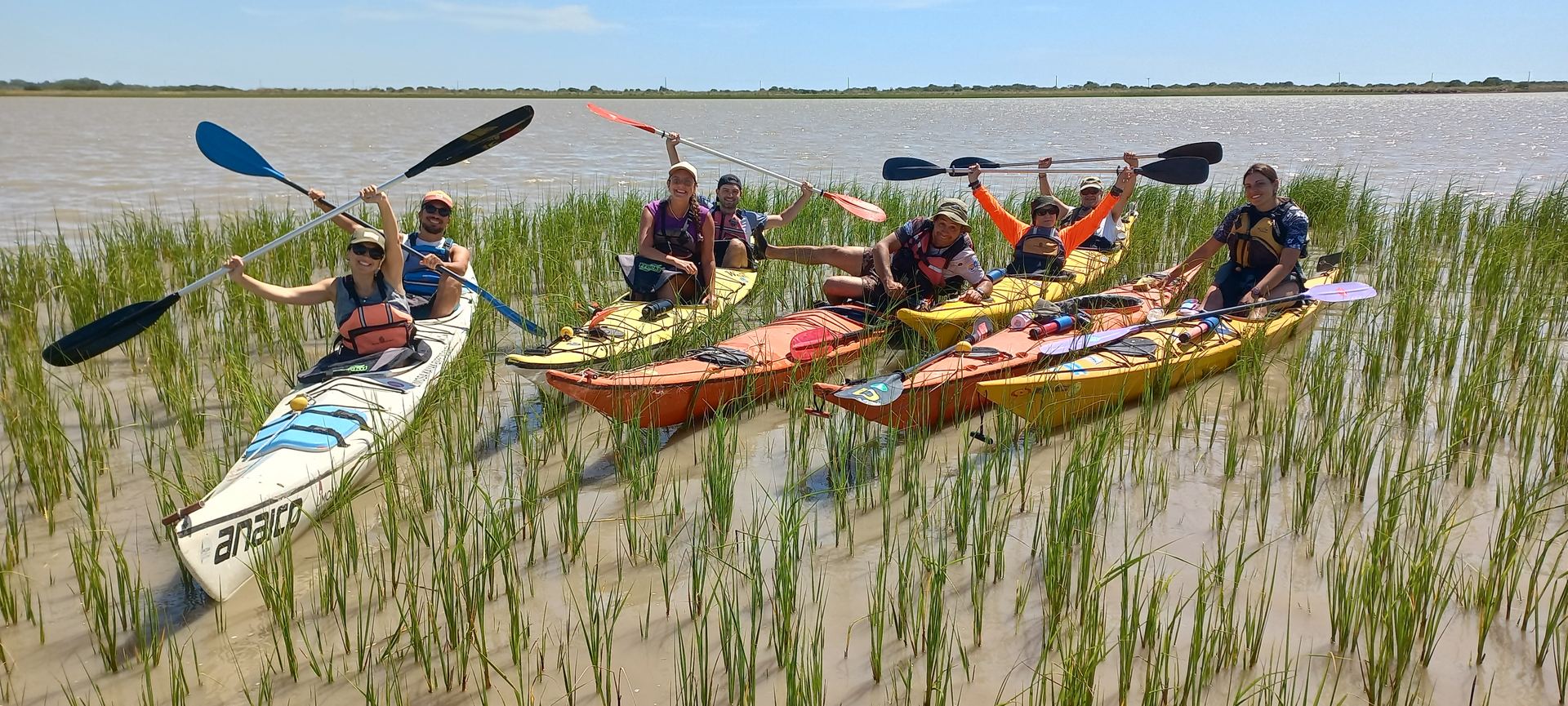 Aventura Limosa