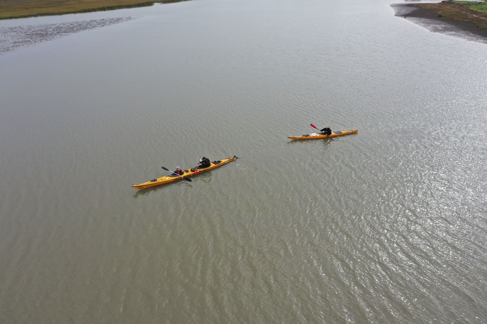 Limosa Kayak Expediciones