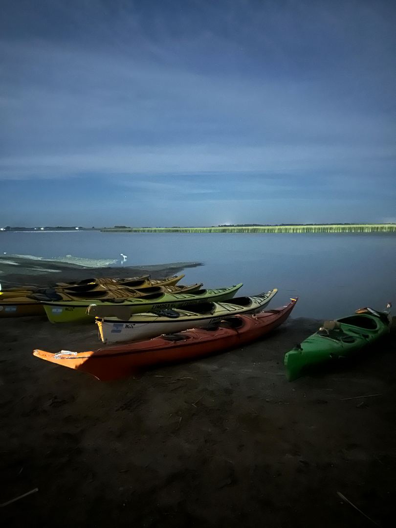 Limosa Kayak Expediciones